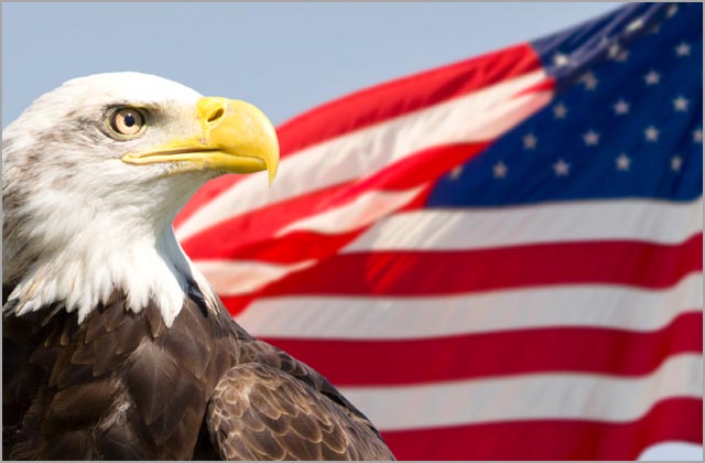 us-flag-eagle