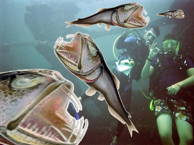 BigFish-Eat-Smaller-Fish